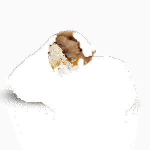 Sukhumvit Cheesesteak wrap